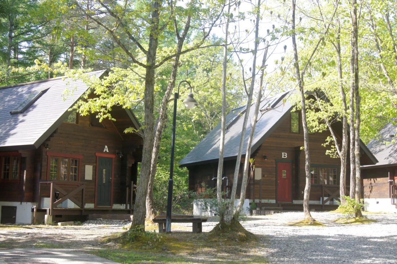 Hakuba Brownie Cottages Екстериор снимка